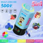 Euvapen Bang De 300000 Puffs 5 In 1 Flavor Combination 006 Disposable Vape Device