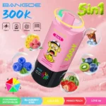 Euvapen Bang De 300000 Puffs 5 In 1 Flavor Combination 007 Disposable Vape Device