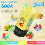 Euvapen Bang De 300000 Puffs 5 In 1 Flavor Combination 008 Disposable Vape Device