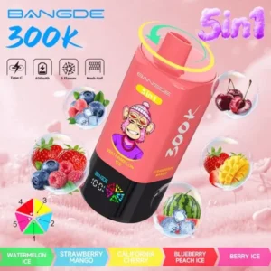 Euvapen Bang De 300000 Puffs 5 In 1 Flavor Combination 010 Disposable Vape Device