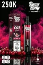 Euvapen Bang King Oushami Shisha Hookah 250000 Puffs Fizzy Cherry Cola Flavor Image 015 Disposable Vape Device