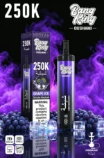 Euvapen Bang King Oushami Shisha Hookah 250000 Puffs Grape Ice Flavor Image 006 Disposable Vape Device