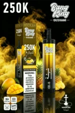Euvapen Bang King Oushami Shisha Hookah 250000 Puffs Mango Pineapple Flavor Image 001 Disposable Vape Device