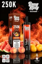 Euvapen Bang King Oushami Shisha Hookah 250000 Puffs Peach Mango Watermelon Flavor Image 007 Disposable Vape Device
