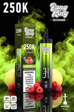 Euvapen Bang King Oushami Shisha Hookah 250000 Puffs Raspberry Lemon Flavor Image 003 Disposable Vape Device