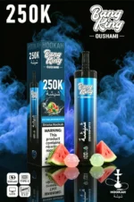 Euvapen Bang King Oushami Shisha Hookah 250000 Puffs Watermelon Bubblegum Flavor Image 012 Disposable Vape Device