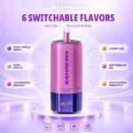 Euvapen Bang King Sixer 360000 Puffs 6 In 1 Flavor Combination 01 016 Disposable Vape Device