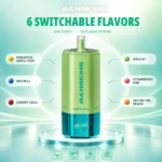 Euvapen Bang King Sixer 360000 Puffs 6 In 1 Flavor Combination 10 017 Disposable Vape Device