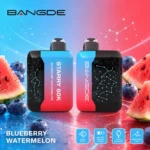 Euvapen Bangde Starry 60000 Puffs Blueberry Watermelon Flavor Product Image 010 Disposable Vape Device