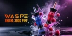Euvapen Waspe Shiceha Hookah 300k 300000 Puffs Performance Banner Product Image 089 Eu Lager Disposable Vape Device